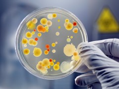 Считавшаяся безвредной бактерия помогала развитию рака